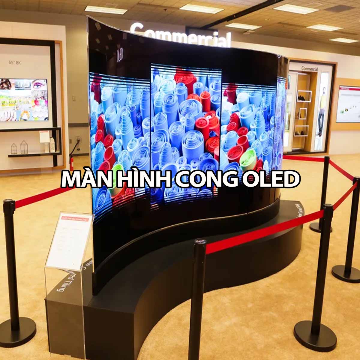anh man hinh cong oled 55inch 1
