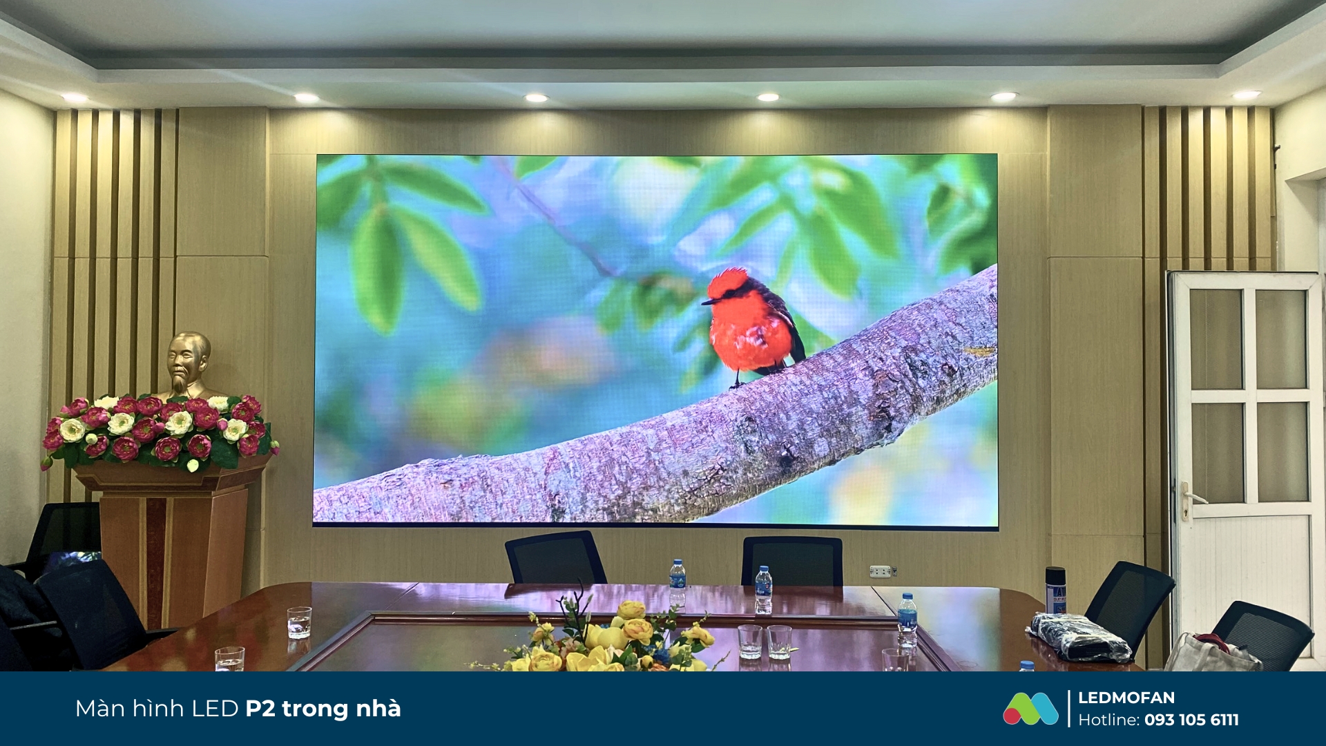 Màn hình LED P2 trong nhà - LEDMofan